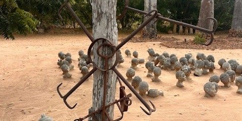 Black History in Ghana Tour