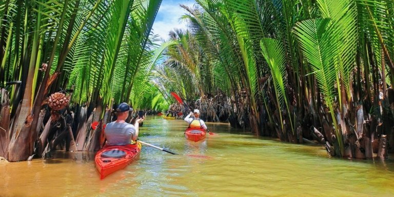 Easy Paddle in Mangrove Forest