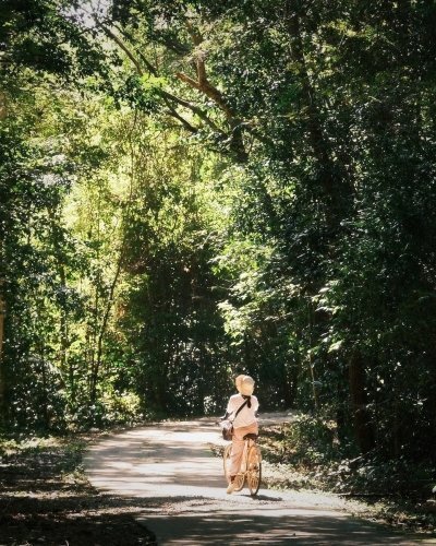 Cat Tien Expedition: A Journey Through Untamed Jungle