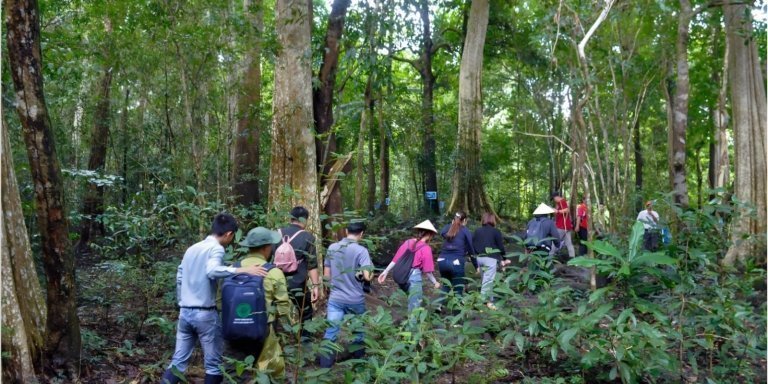 Cat Tien National Park: Jungle Bath For Soul