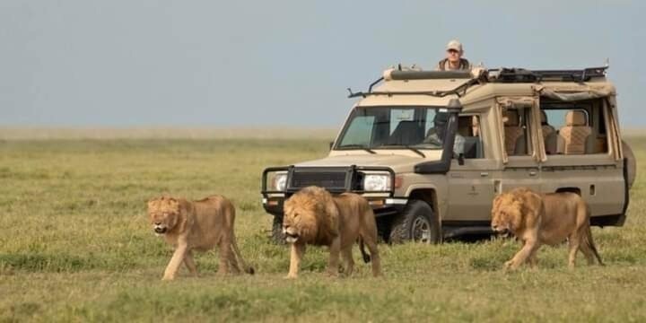 8-Day Classic Kenya Safari: Big Five Encounters & Scenic Beauty