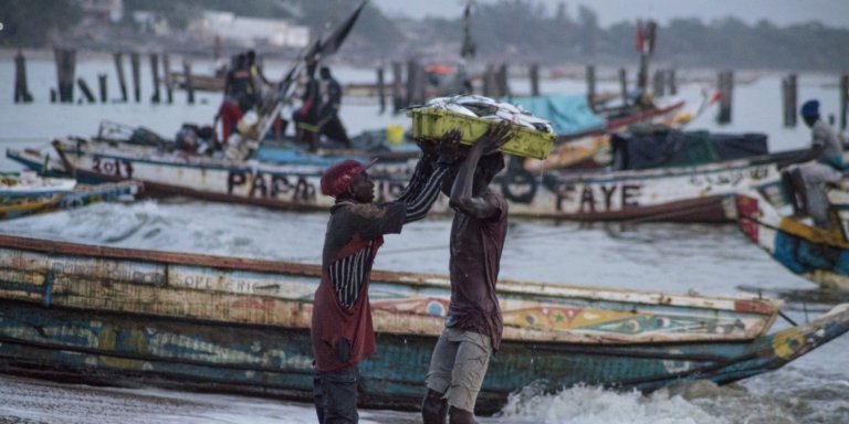 Kafountine Adventure: South Senegal