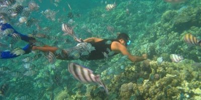Nha Trang: Mini Beach, Mun Island Protected Area Snorkeling Tour