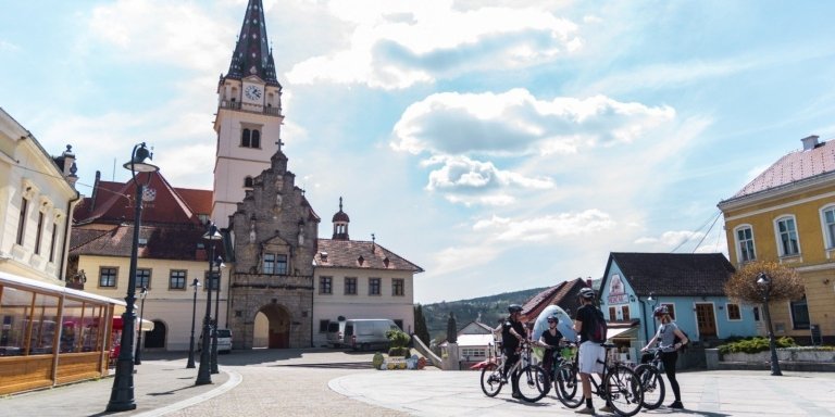 Cycling- Electric bike to the wineries of the city of Zlatar