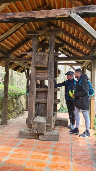 Cycling - Country roads around Marija Bistrica