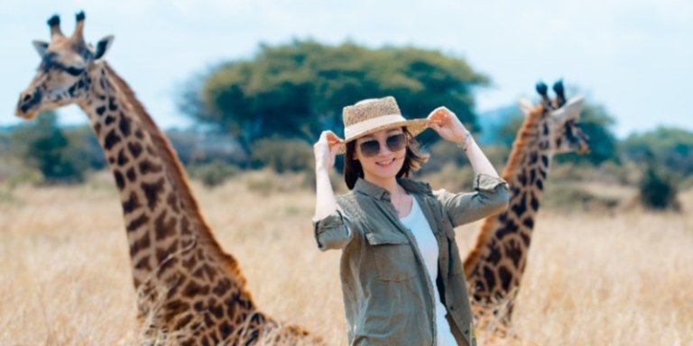 Tanzania Tour Safaris