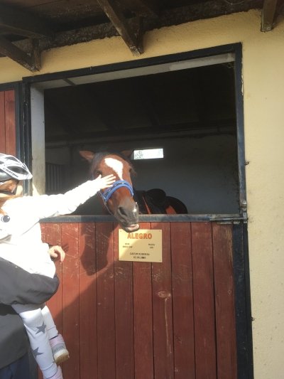 Cycling - Trouhgh Stubičke Toplice and Oroslavje