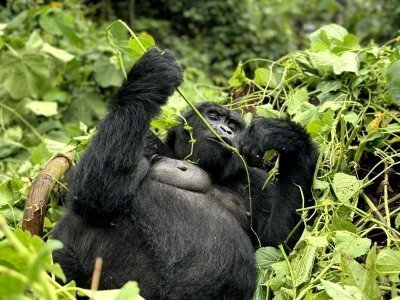 16-Day East Africa Safari Adventure