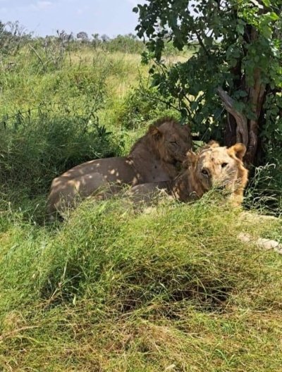 7 Days Safari and Beach Holiday in Kenya Adventures