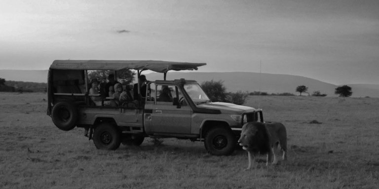 7-Day Unlimited Bush Safari Masai Mara Amboseli safari Kenya