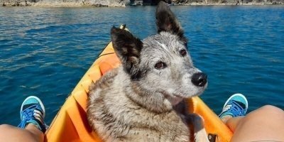 Water Activities & Sports