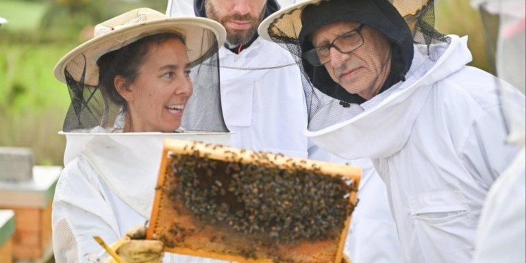 Bee Inspired: Visit Central Azores and an Apiary