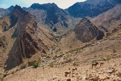 VIP Hatta Tour Dubai