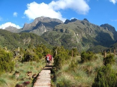 4Days Mountain Rwenzori Trek