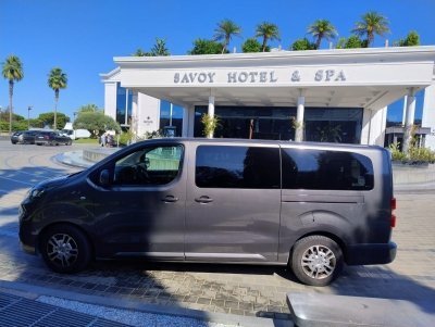 Private transfer from Paestum to Naples Airport