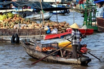 Best Price MEKONG DELTA Full-day Tour From Ho Chi Minh City