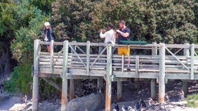 Cape of Good Hope Tour