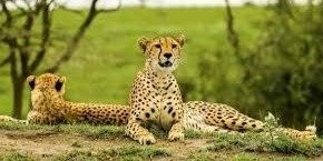 Ready to Experience Tanzania like Never Before?