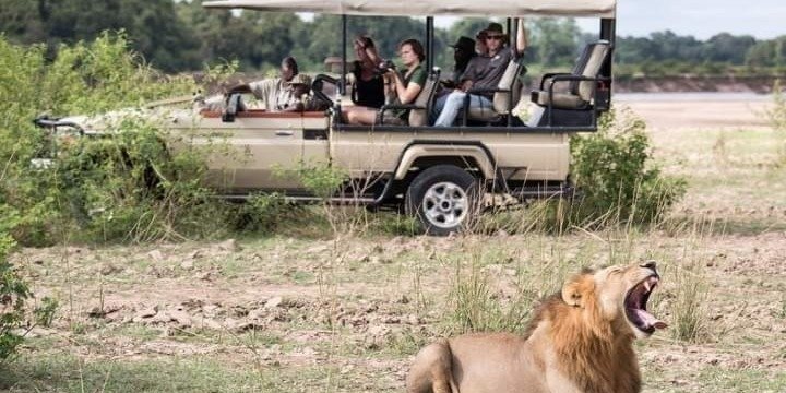 Discover Masai Mara in 3 Days – Wildlife, Culture & Comfort