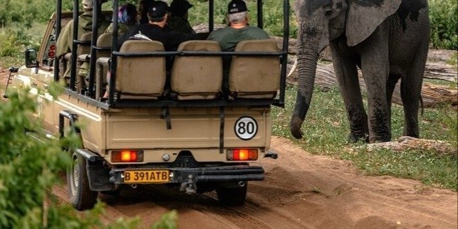 Okavango Delta and Kasane Tours 4N, 5D