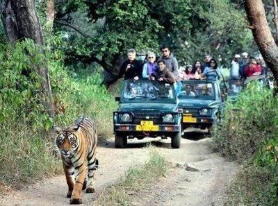 Delhi, Agra, Jaipur & Ranthambhore Tiger Safari Reserve 5-Day Tour