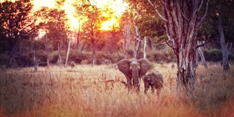 Exciting Kafue National Park (Central Region) 2N, 3D