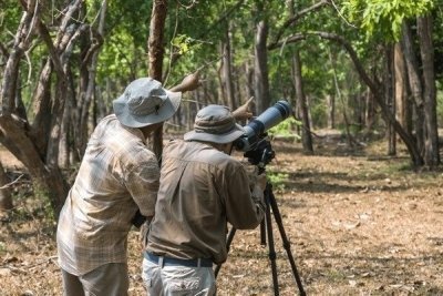 4 Hours Bird Watching in Mosi-oa-Tunya National Park