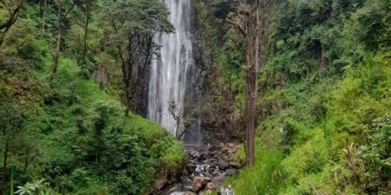 The Best Day Trip to Materuni Waterfalls & Coffee Tour