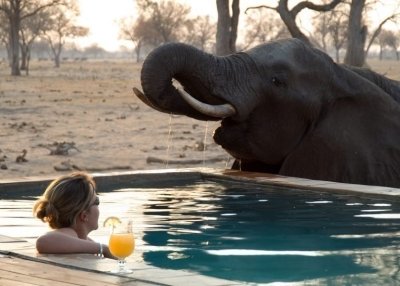 HWANGE NATIONAL PARK ADVENTURE SAFARI