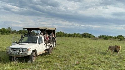 Schotia Private Reserve Big 5 Safari
