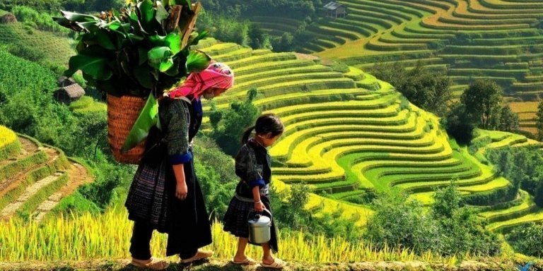 Sapa Trekking: Rice Terraces & Ethnic Villages 3-Day From Hanoi