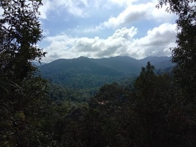 Taman Negara National Park Trekking Day trip (SIC - Join In Tour)