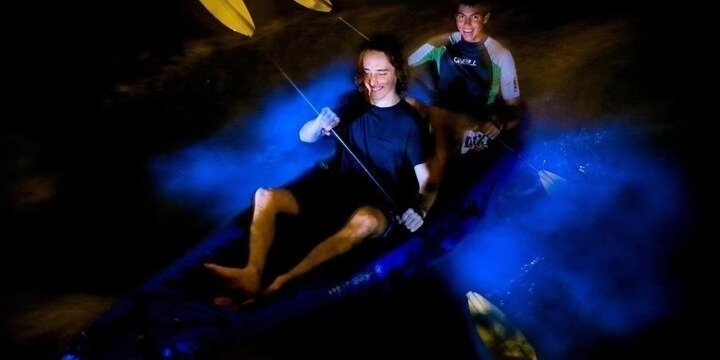 Experience the Sunset & Bioluminescent Plankton Kayak in Cat Ba