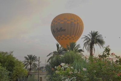 Sunrise Hot air Balloon over the ancient Luxor