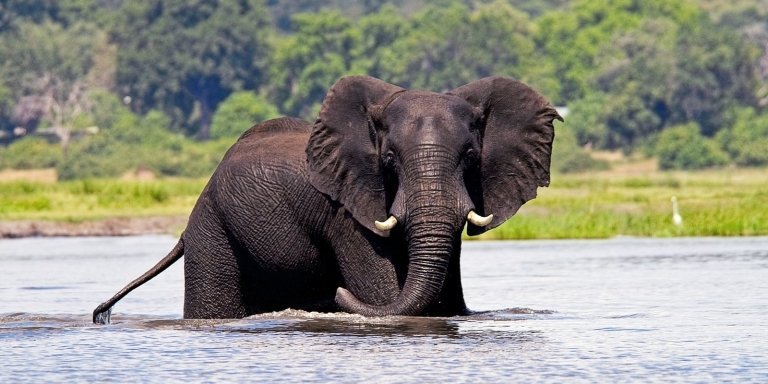 7 Day - Victoria Falls & Hwange NP  Luxury Tented Camps Safari