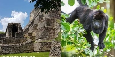 Altun Ha & Baboon Sanctuary Private Tour