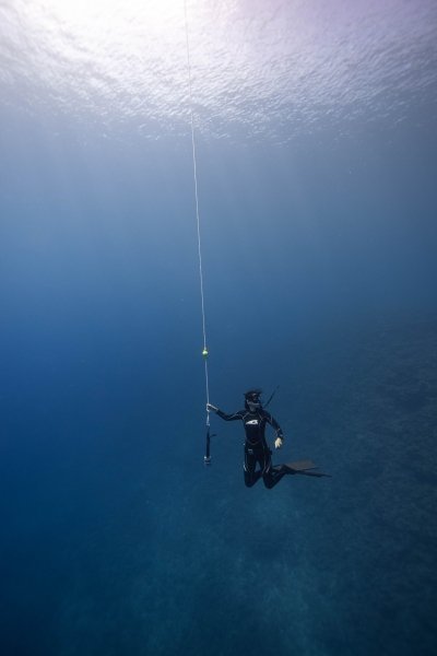 Freediving beginner course in Tenerife