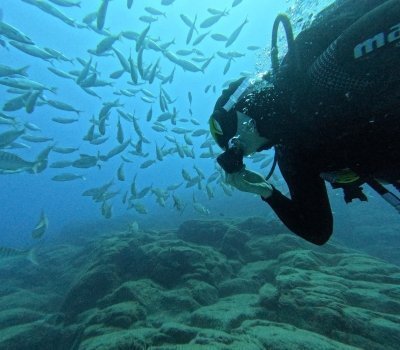"Try diving" 20 minutes underwater in Fuerteventura