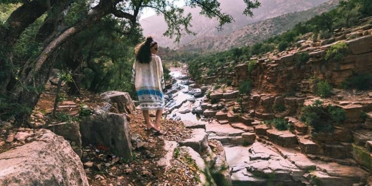 Paradise Valley Half Day Trip