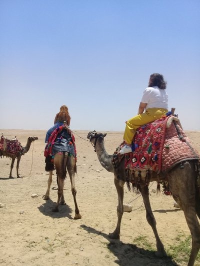 Private Tour Giza Pyramids Sphinx Sakkara Memphis and Camel ride