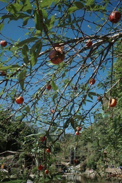 2-Day Sapa Tour from Hanoi with Cat Cat Village & Fansipan Peek