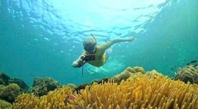 Phu Quoc Luxury Snorkeling: Discover Coral Reefs & Hidden Island