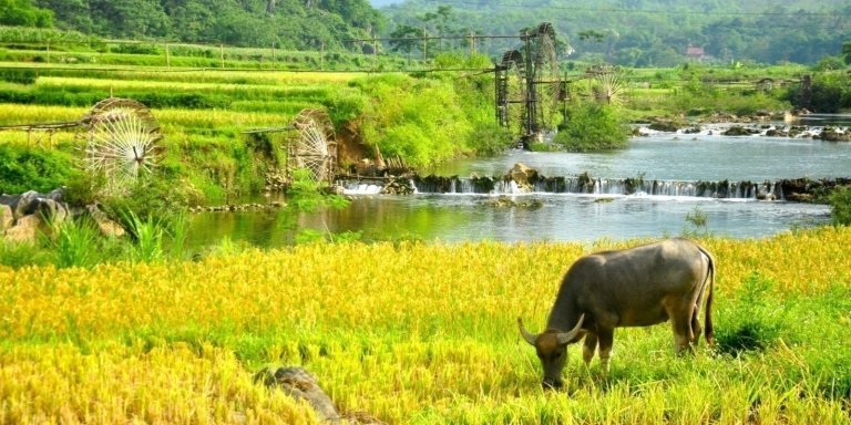 3-Day Mai Chau & Pu Luong Tour: Biking, Waterfalls & Rafting