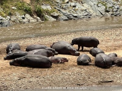 4-Day Game Maasai Mara with Lake Naivasha Geographical