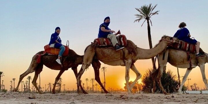 Camel safari at sunset in Marrakech desert