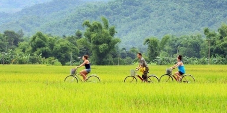 3-Day Mai Chau, Puluong & Ninh Binh Tour– Culture & Scenic View