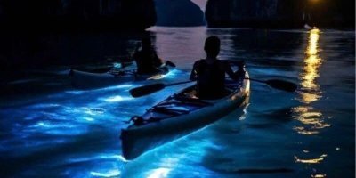 Lan Ha Bay Sunset Cruise & Glowing Plankton Experience