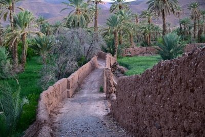 Hiking Tours in the draa valley