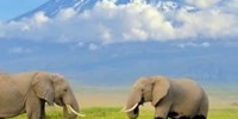 Amboseli National Park – 3 Days Kenya Safari Package