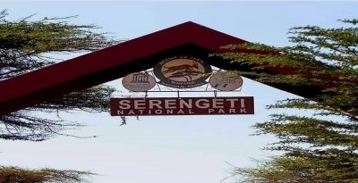 Ultimate Adventure: Serengeti & Ngorongoro Crater Exploration